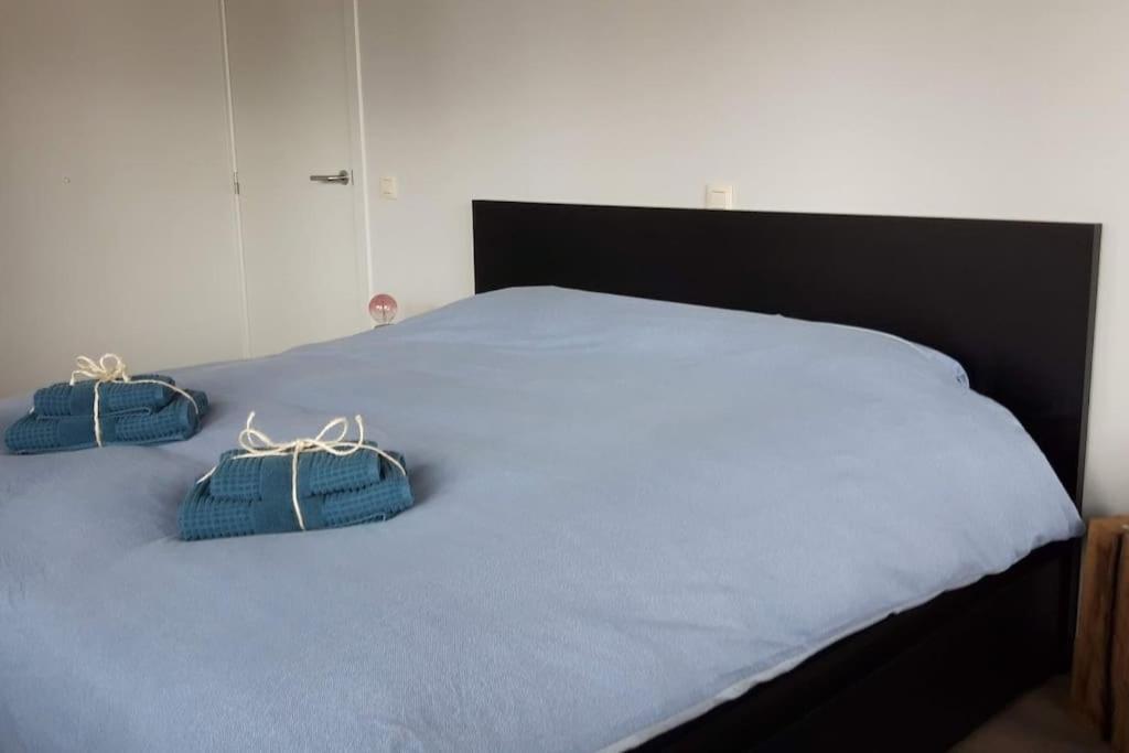 Momaison Charmant Landelijk Appartement Knesselare Bagian luar foto